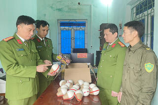 <a href="/tin-tuc-su-kien/tin-an-ninh-trat-tu" title="Tin An ninh trật tự" rel="dofollow">Tin An ninh trật tự</a>