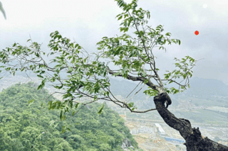 <a href="/tin-tuc-su-kien/tin-an-ninh-trat-tu" title="Tin An ninh trật tự" rel="dofollow">Tin An ninh trật tự</a>