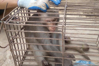 <a href="/tin-tuc-su-kien/tin-hoat-dong" title="Tin hoạt động" rel="dofollow">Tin hoạt động</a>