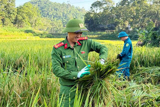 <a href="/tin-tuc-su-kien/tin-hoat-dong" title="Tin hoạt động" rel="dofollow">Tin hoạt động</a>