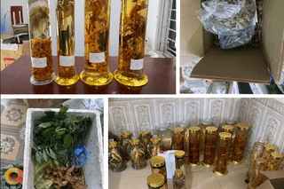 <a href="/tin-tuc-su-kien/tin-an-ninh-trat-tu" title="Tin An ninh trật tự" rel="dofollow">Tin An ninh trật tự</a>