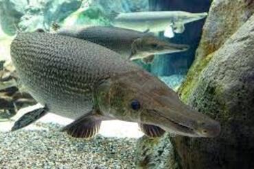 <a href="/tin-tuc-su-kien/tin-an-ninh-trat-tu" title="Tin An ninh trật tự" rel="dofollow">Tin An ninh trật tự</a>