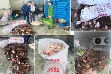 <a href="/tin-tuc-su-kien/tin-an-ninh-trat-tu" title="Tin An ninh trật tự" rel="dofollow">Tin An ninh trật tự</a>