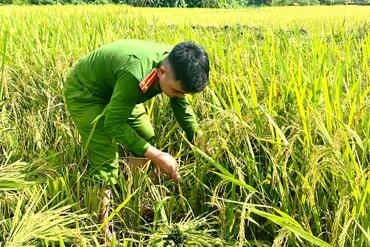 <a href="/tin-tuc-su-kien/tin-hoat-dong" title="Tin hoạt động" rel="dofollow">Tin hoạt động</a>