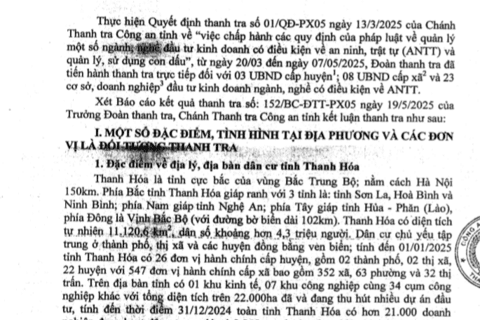 KẾT LUẬN THANH TRA
