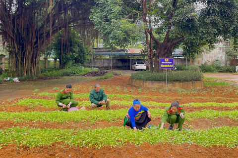 Công an xã Hồi Xuân với mô hình “Vườn rau Thanh niên - Phụ nữ”