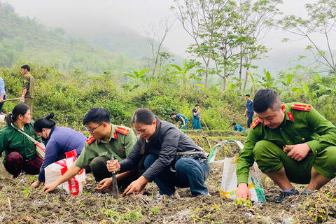 Công an xã Quan Sơn đồng hành cùng Nhân dân phát triển nông sản, giữ vững an ninh, trật tự ở cơ sở