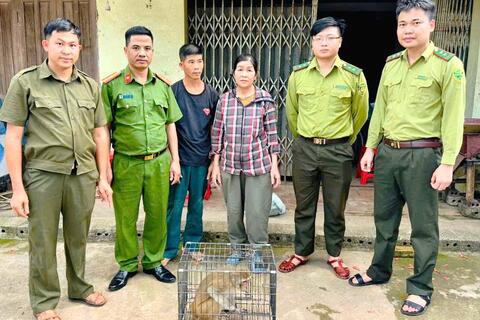 Kịp thời bàn giao, thả cá thể khỉ hoang dã về môi trường tự nhiên