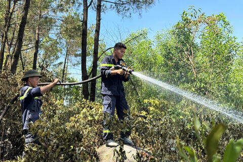 Thủ tướng chỉ đạo khẩn về phòng cháy, chữa cháy rừng