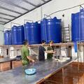 Làm rõ vụ bao bì nước mắm bị vứt bỏ bên đường ghi nơi sản xuất tại Thanh Hóa