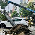 Cây xanh bật gốc đè ô tô, lực lượng Cảnh sát phòng cháy, chữa cháy và cứu nạn, cứu hộ hỗ trợ người dân kịp thời