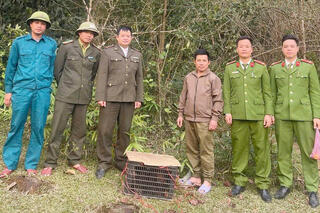 <a href="/tin-tuc-su-kien/tin-hoat-dong" title="Tin hoạt động" rel="dofollow">Tin hoạt động</a>