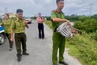 <a href="/tin-tuc-su-kien/tin-hoat-dong" title="Tin hoạt động" rel="dofollow">Tin hoạt động</a>