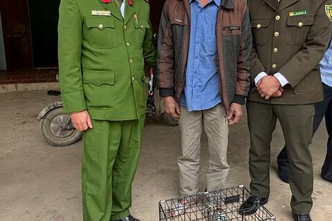 Vận động người dân giao nộp 2 cá thể Tê Tê đi lạc vào vườn nhà