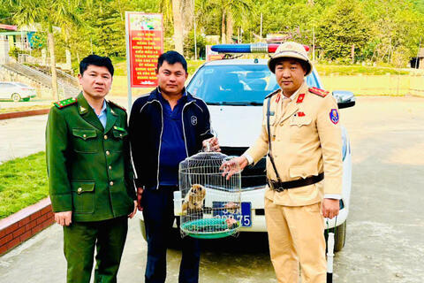 Phòng Cảnh sát giao thông tiếp nhận cá thể cu li quý hiếm