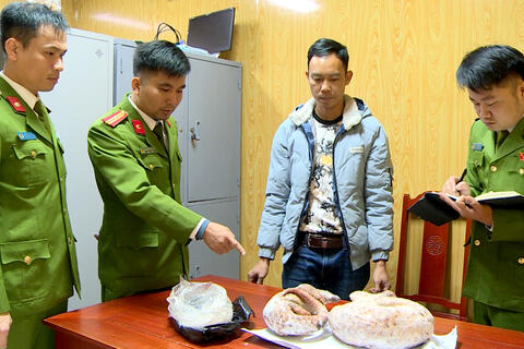 Phát hiện, xử lý nhiều vụ mua bán, vận chuyển trái phép động vật hoang dã nguy cấp, quý, hiếm