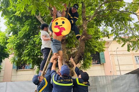Khẩn trương giải cứu bệnh nhân trên cây cao tại Bệnh viện Tâm thần Thanh Hóa