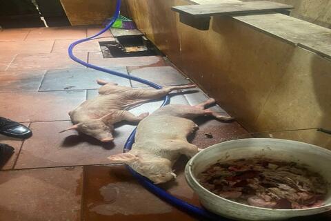 CÙNG CHUNG TAY ĐẢM BẢO AN TOÀN THỰC PHẨM TRONG DỊP TẾT NGUYÊN ĐÁN