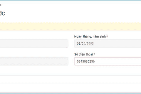 Hướng dẫn dịch vụ công toàn trình: Cấp lại thẻ Căn cước trên cổng dịch vụ công