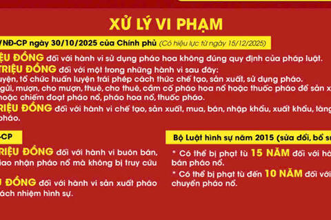 Các quy định về quản lý, sử dụng pháo, hình thức xử lý vi phạm