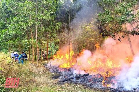 Công điện khẩn của Chủ tịch UBND tỉnh về phòng cháy, chữa cháy rừng